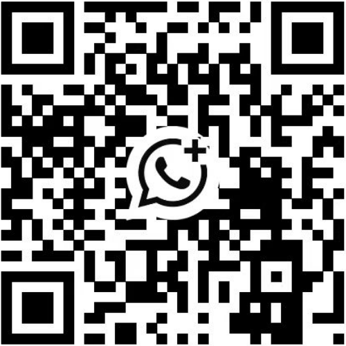 WhatsApp，WhatsApp Business